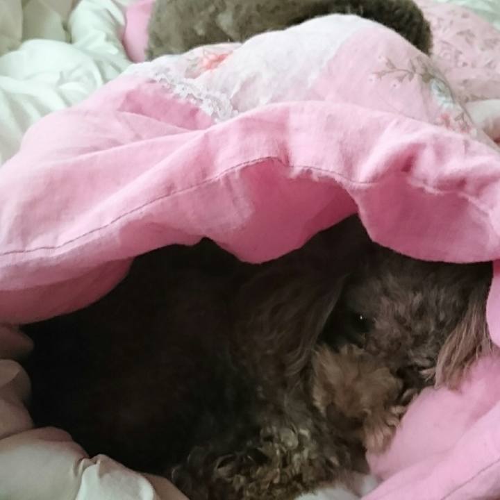 D1be9a04 1020 4e1f 97a5 ad838370db2a