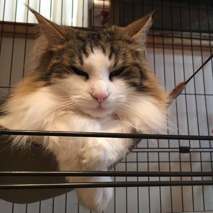 D1be9c39 808b 47b7 8106 03ceed199a7d