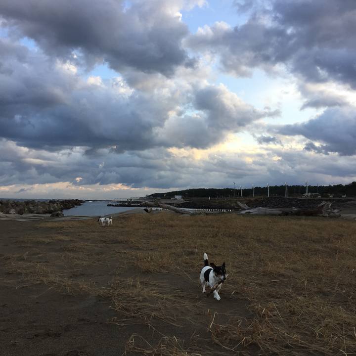 D1beb777 c864 45df addc dcf386de1b7e