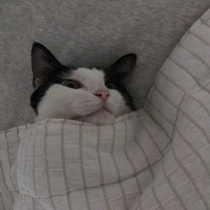 D1bf64bd 0fcc 438d 9ac5 1e16e414b469