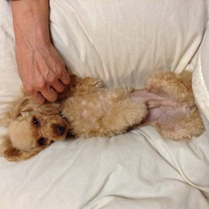 D1bfd5ec 4304 4429 8c38 009d15c8ff16