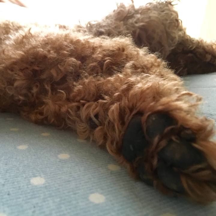 D1c00b52 6c0d 462f 8163 58c4dde9935f