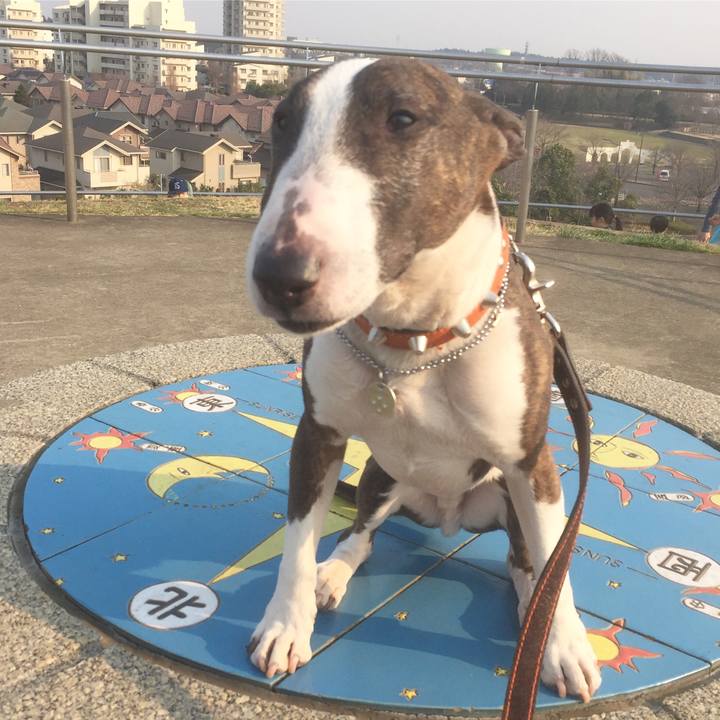 D1c22853 445a 4190 8e6c d0abaf21e75b