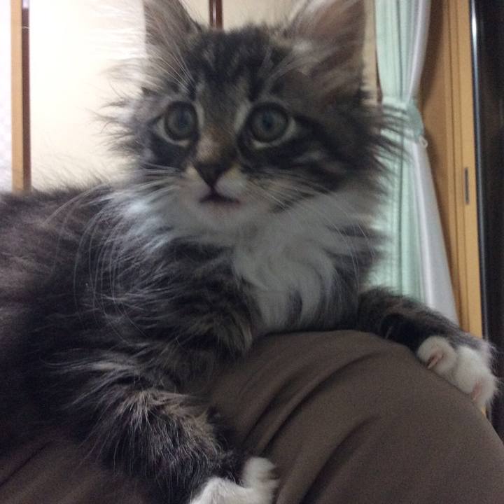 D1c2da34 848e 49bc 9336 e206c68891cb