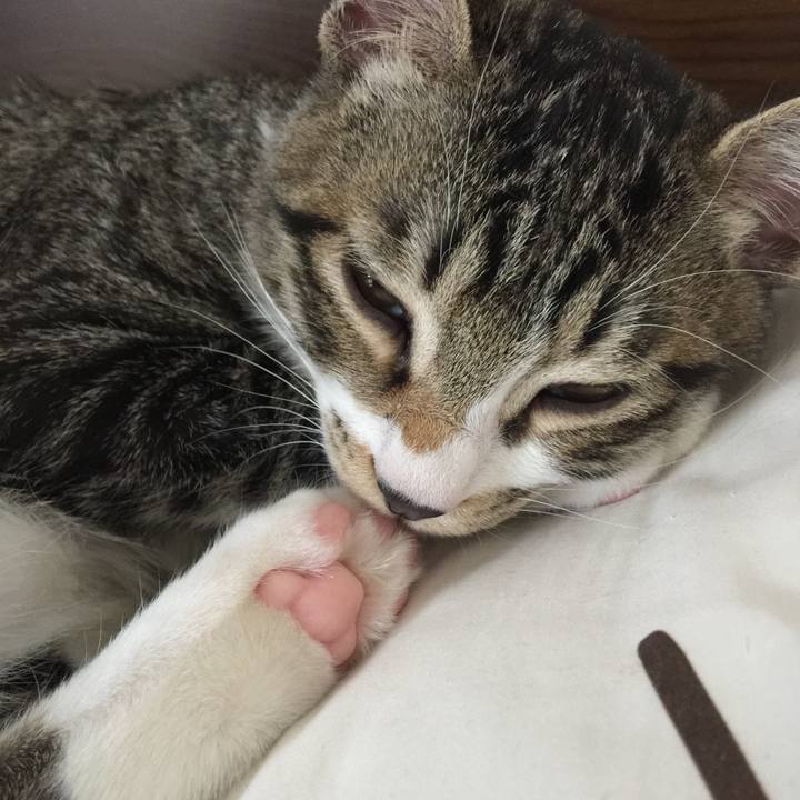 D1c3a3fb 17f6 4da8 ac95 9323f4af259a