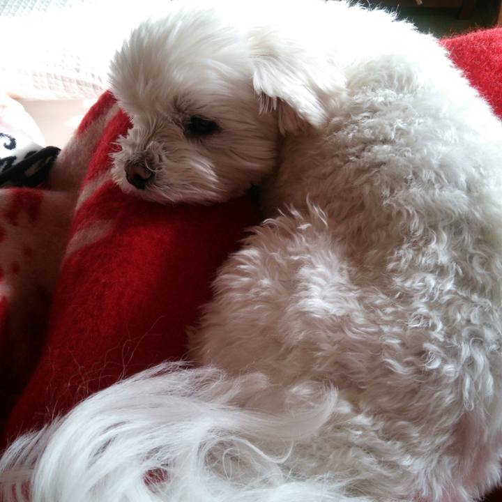 D1c4814c 0216 4d54 bf69 bc5598c47257