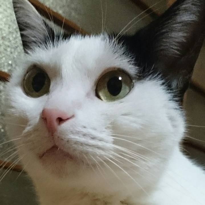 D1c4d496 785c 4fef ba68 91de944ba07f