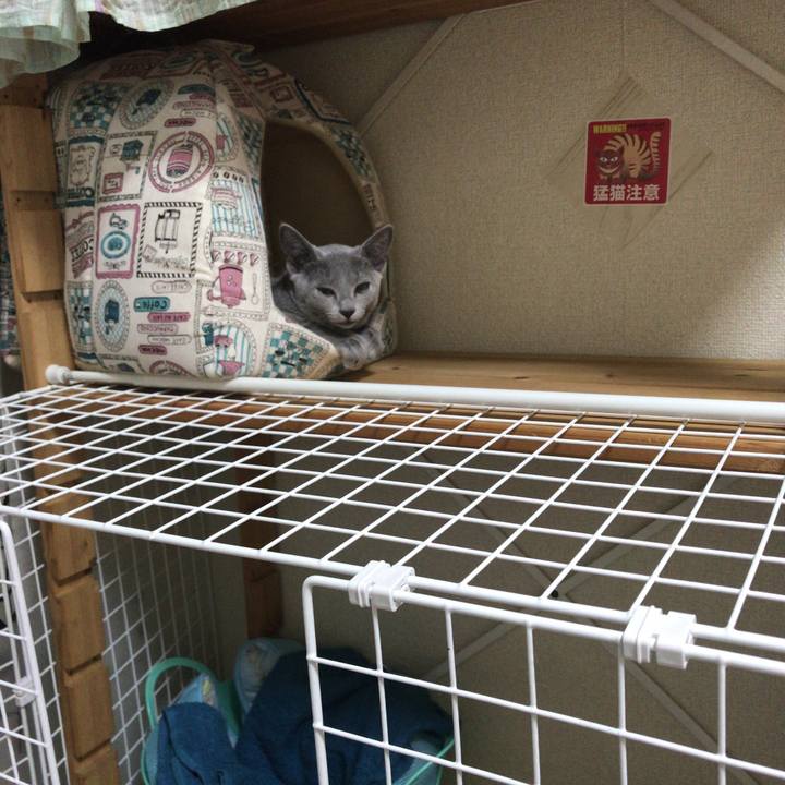 D1c4ff63 3812 4aaf 9666 870c5caa2776