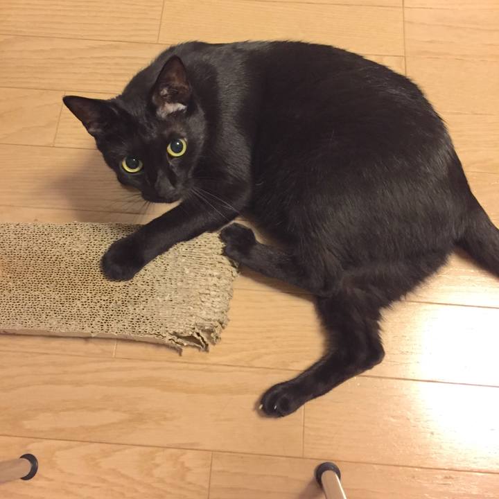 D1c51fc4 100c 4447 beeb 05e7e500c7b4