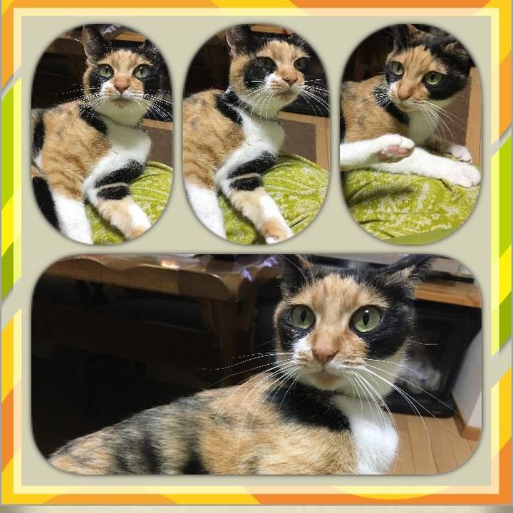 D1c5682b a8e8 4499 9ecf aa3a153fd6b1