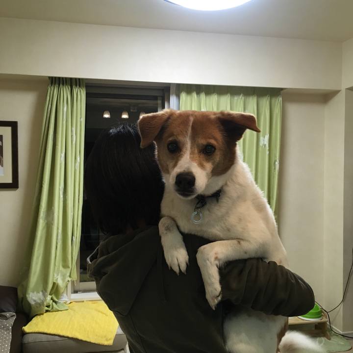 D1c57d1c c870 493b b447 80754bf2bd3b