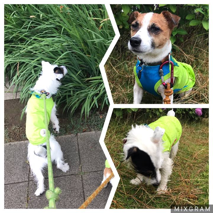 D1c68daf 09f3 47b6 a4ea 9ee396d2a3b2