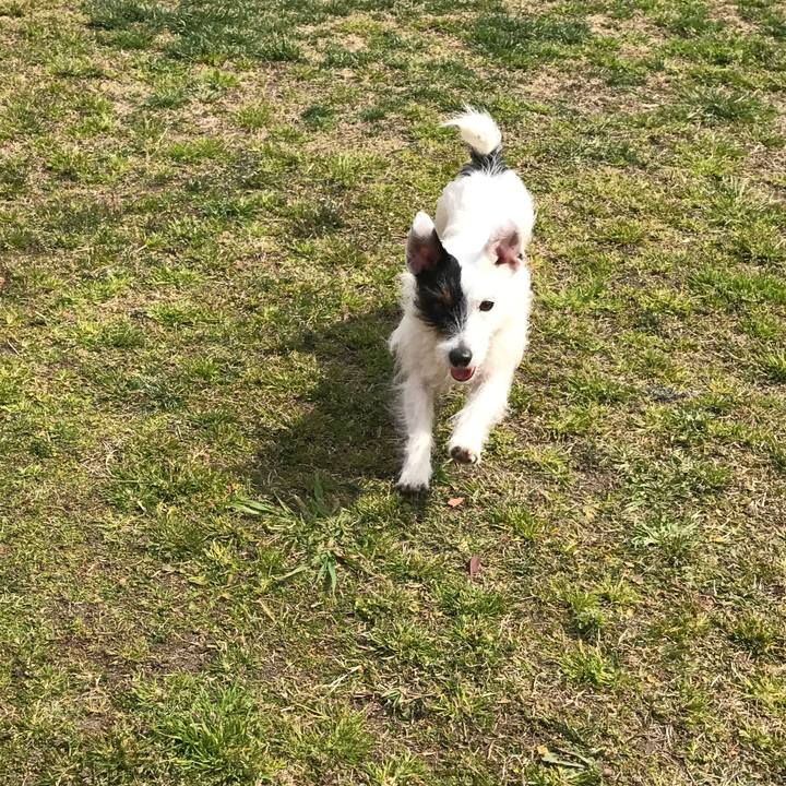 D1c73982 6c9f 45a7 8084 93aecafe53fb