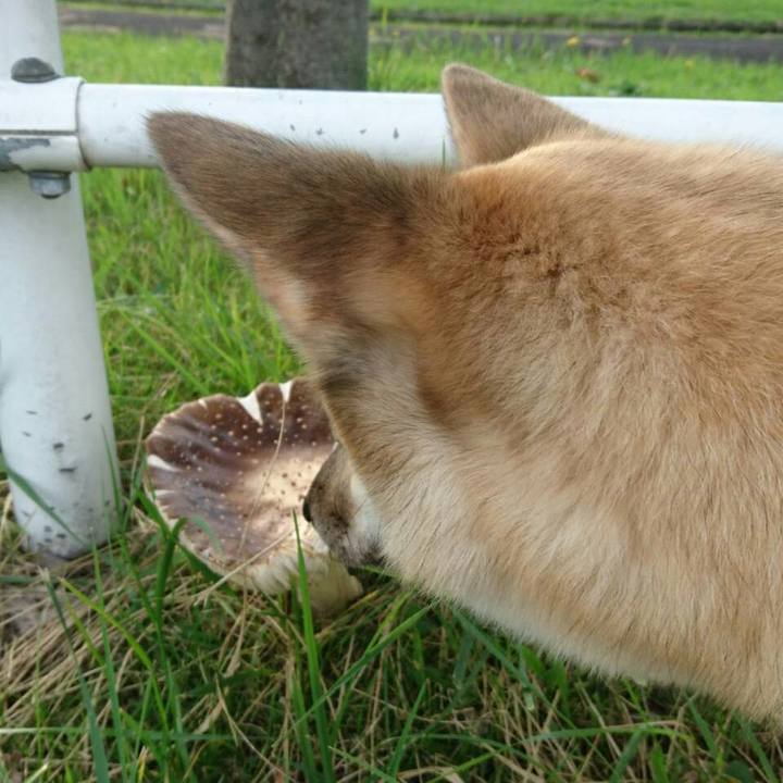 D1c75833 a1b5 4f01 818d 4e56142ccf6b