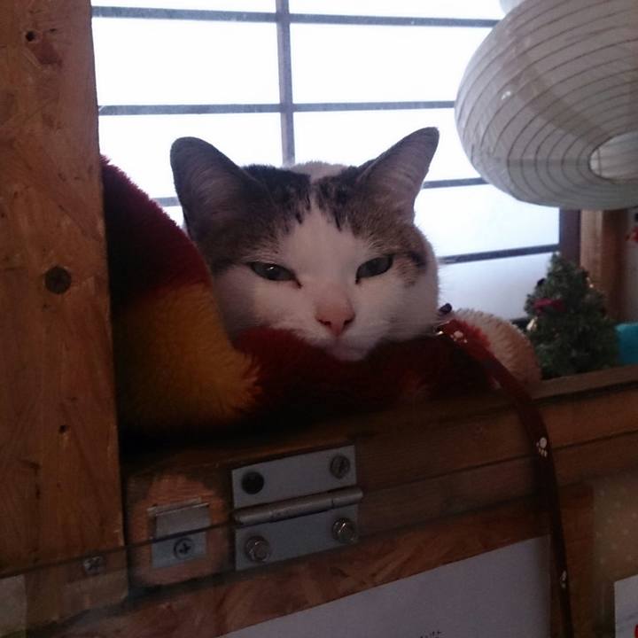 D1c7590b 4ac8 4c97 967a 468031d7af1c