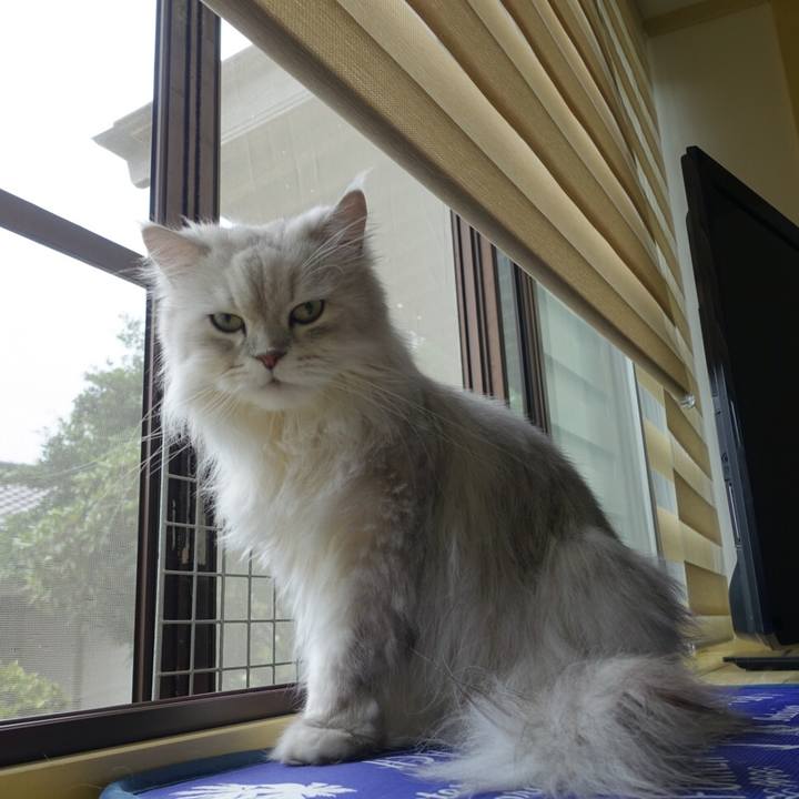 D1c7deb0 0b5b 4cdd a65c 403ea5ff00ff