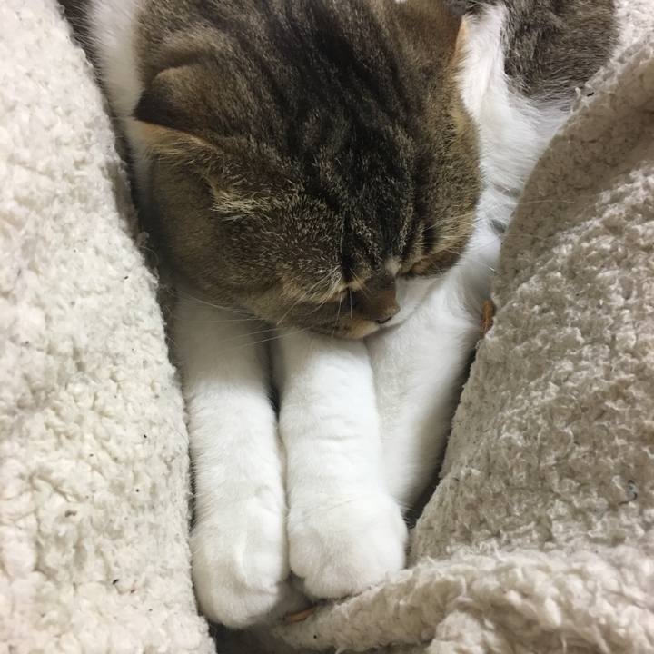 D1c840d6 683d 4c55 bf14 e18836569cdb