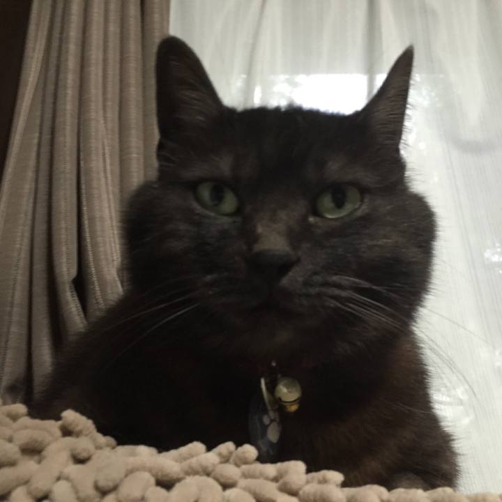 D1c89dc4 2693 4941 8a7b 0a31b695bdef