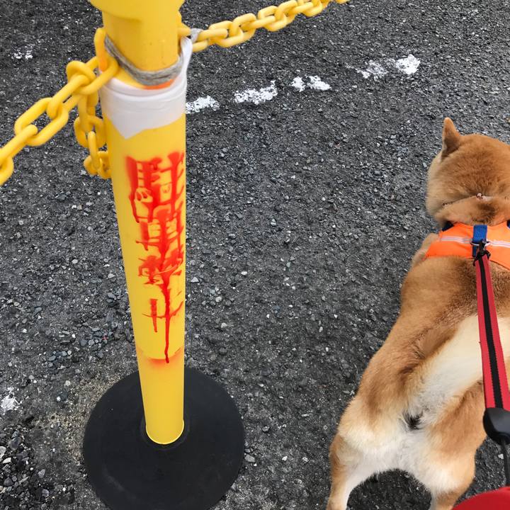 D1c968d0 3f2d 4248 acb3 a26e95da9155