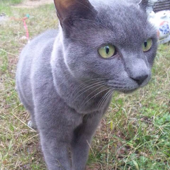 D1c995a3 8e7c 41c9 8433 9cecbe4dc6f6