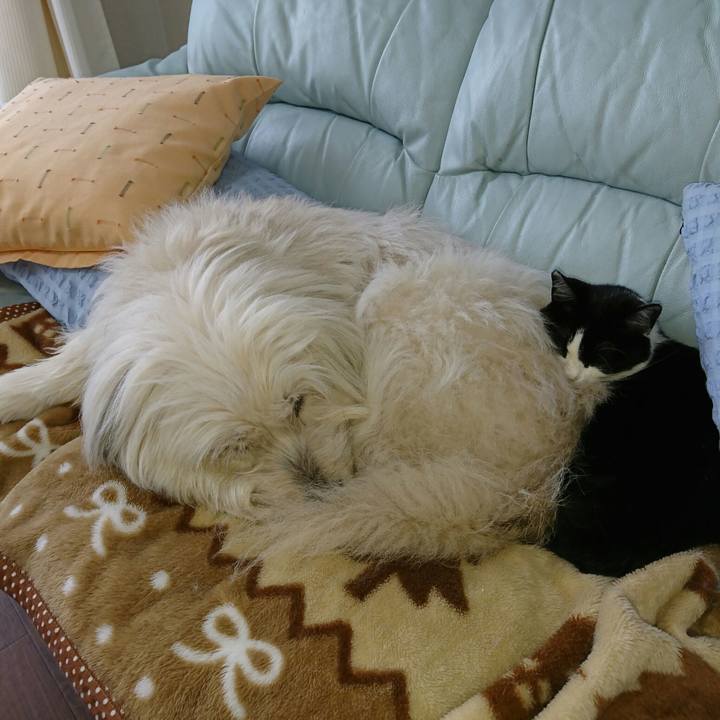 D1c9a257 d58f 486e a683 cc99471df33d