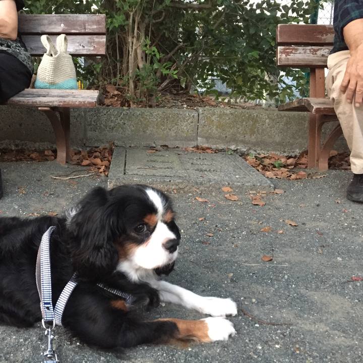 D1c9d232 0d82 41d0 ad53 93ccd1601304