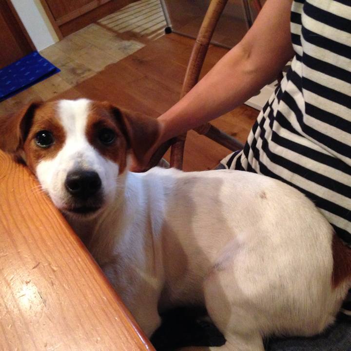 D1ca73f7 3151 447b a6bd 20b6d6777bfa