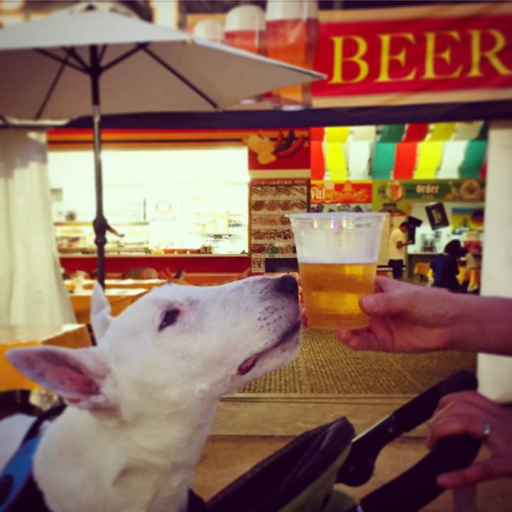 D1cb34bc f78b 4572 8a55 e49348a371bf