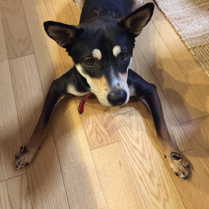 D1cb5f52 ebc7 4f3a 8102 ebae0bf81c74