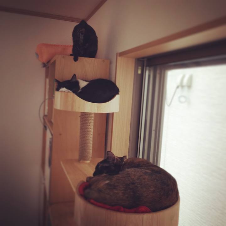 D1cbb44d d6bf 46d8 af79 a26638137a50