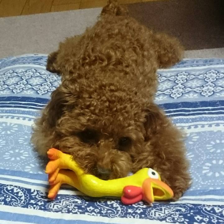 D1cbf675 dd6e 4b63 bf24 7eaf0e7c5871