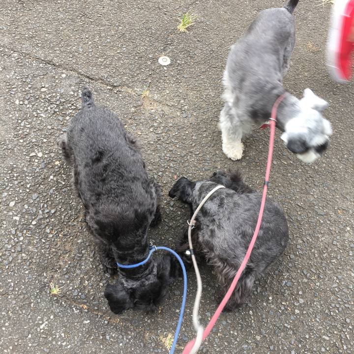 D1ccd150 7f2f 4b96 9154 99ce71ae80de