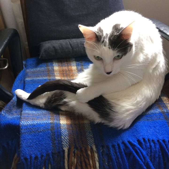 D1ccd7c9 7aff 4cb0 9b24 b4f38932c379