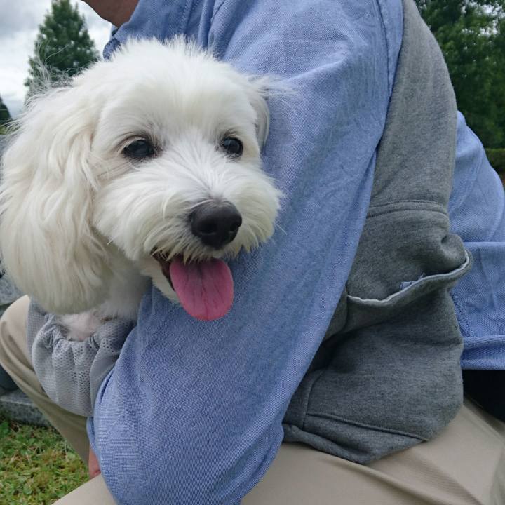 D1ccf20a 0185 479f afe8 434d0a4bc946