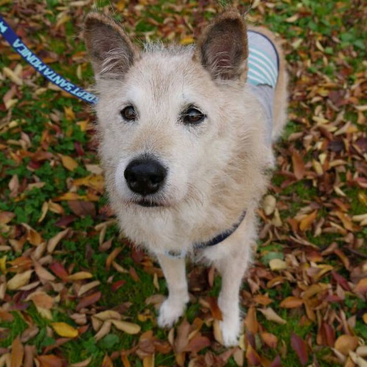 D1cd098a 6a5a 417e b685 b76cf1b711b3