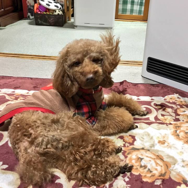 D1cd411c 1e85 4049 9403 c5bd1fd4fa0e