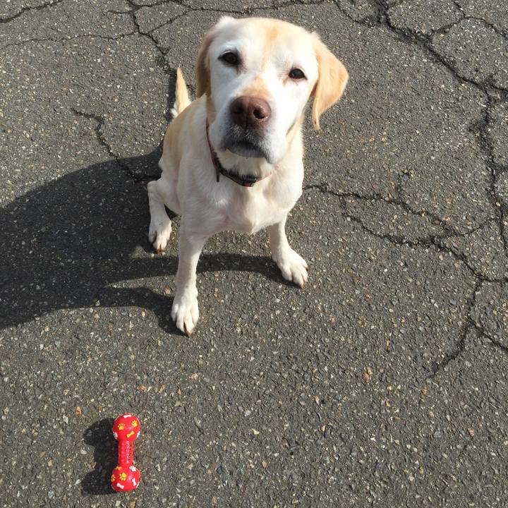 D1cdb413 ff52 4e64 8547 cf4bcdbb1169