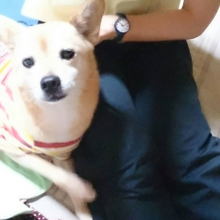 D1cf00d3 41fe 4b2b a426 607649d9926d