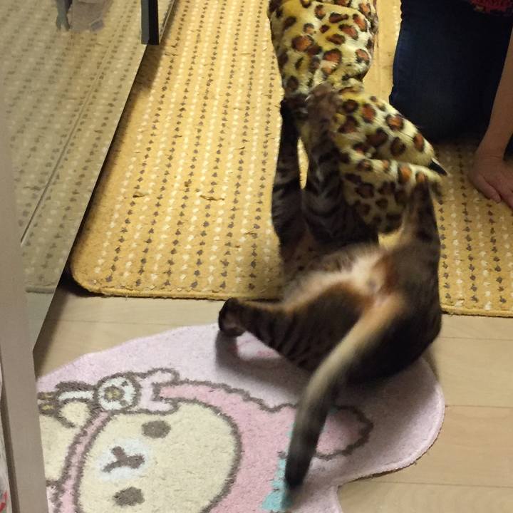 D1cf7da0 8e9f 4c8a b8c4 3603c63c7d5e