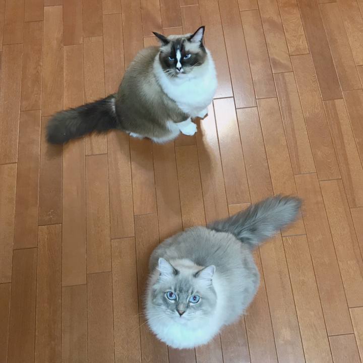 D1cfe044 d6d4 4a0b a0ef 4d02934abc8f