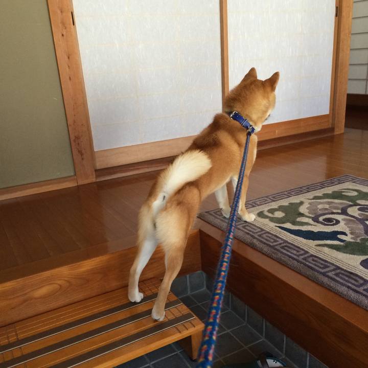 D1cfe872 5138 4a56 865c 8ec3d7d5e001