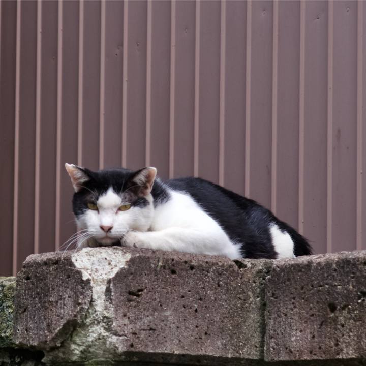 D1d02ced 4cad 4b01 9dcd 079f1d5f434f