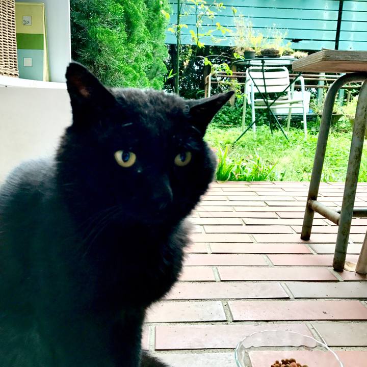 D1d03b69 d110 4a98 9b74 31ccbd10fac5