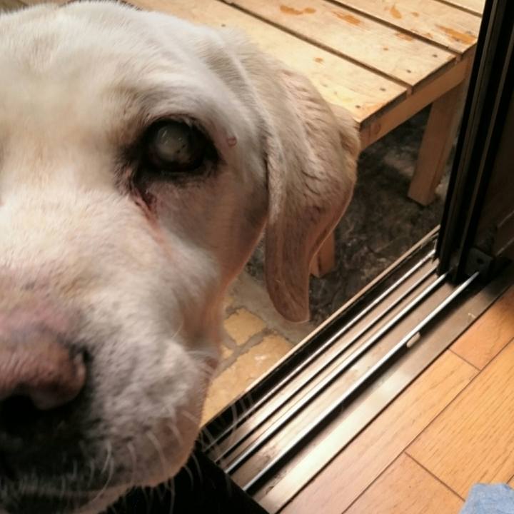 D1d0434c e580 44f9 862e f0684d17a14a