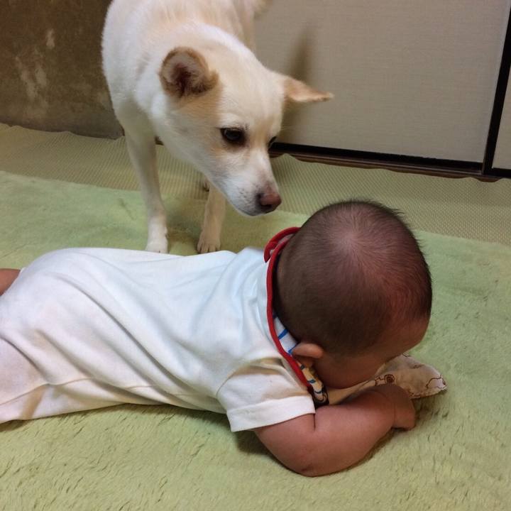 D1d0aef9 0389 4605 a2fd 9a98e38c37c9