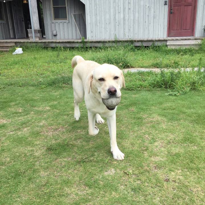 D1d0e981 fda4 47ee b8d6 143e082def0a