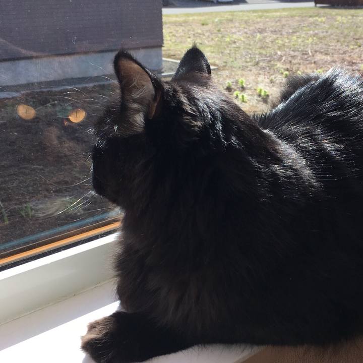 D1d29b90 e023 44c7 96d0 f1d61394edd9