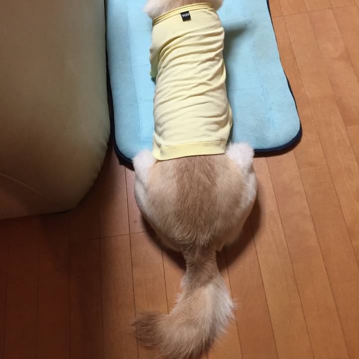 D1d2b090 8b9e 4249 a164 225c19239105