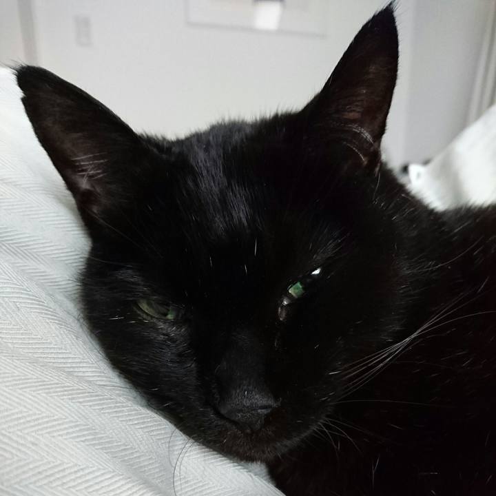 D1d451a1 6396 4651 8a07 807beab7a80c