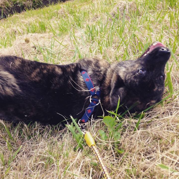 D1d45ca7 4c4d 4d00 a998 7c076e3faece